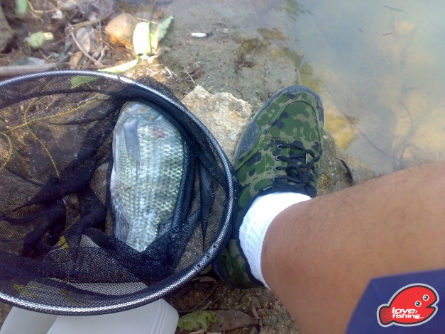 201310042467.jpg