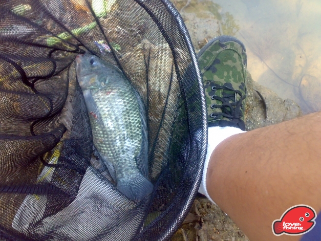 201310042468.jpg