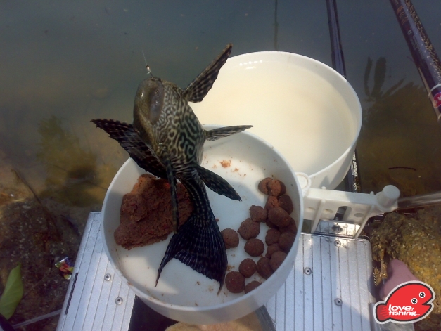 201310042469.jpg