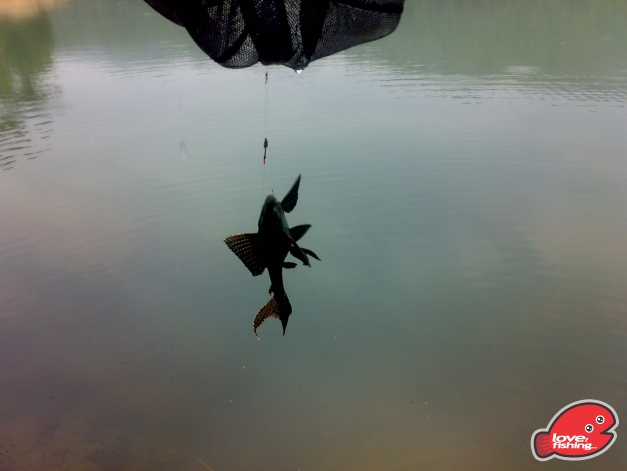 201310042472.jpg