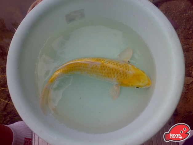 201310042474.jpg