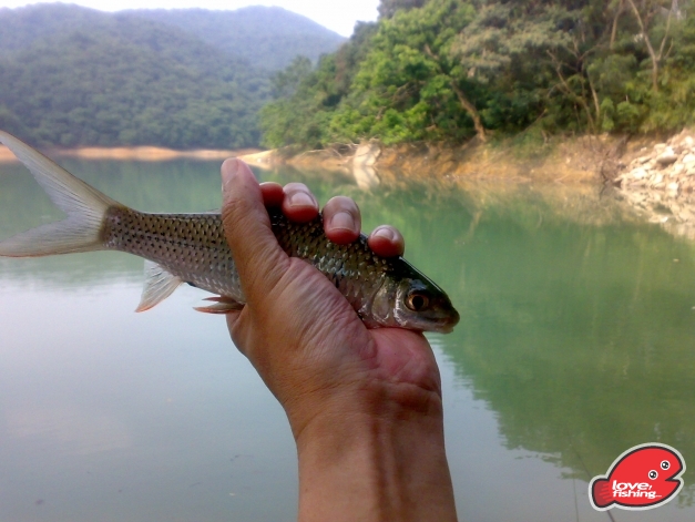 201310042476.jpg