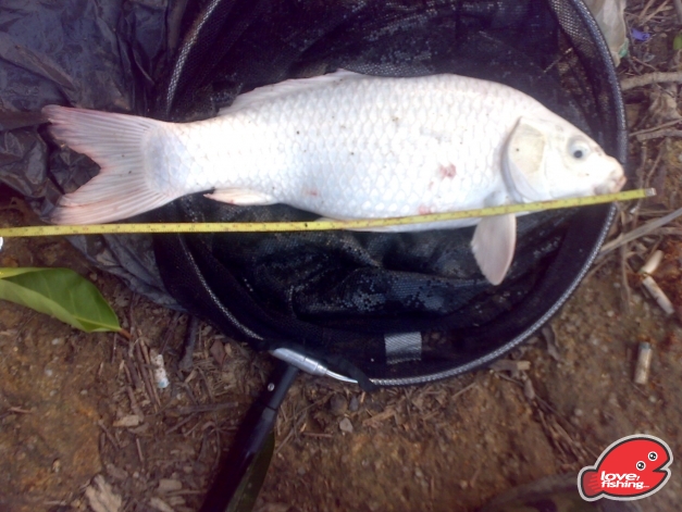 201310042478.jpg