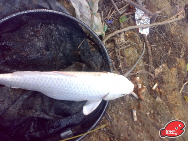 201310042479.jpg