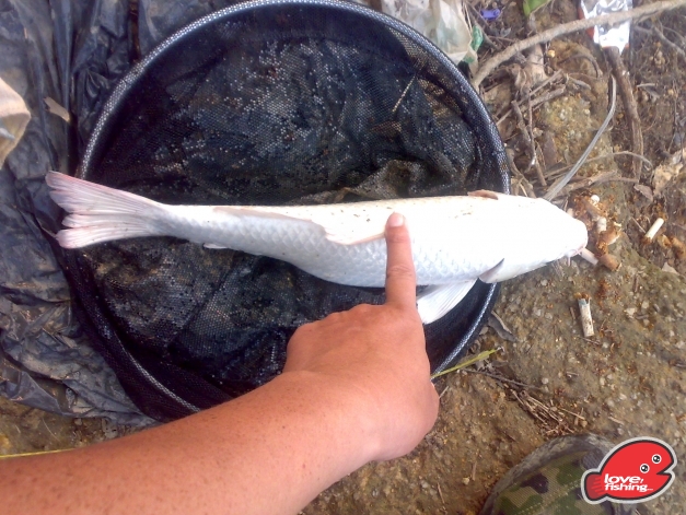 201310042480.jpg