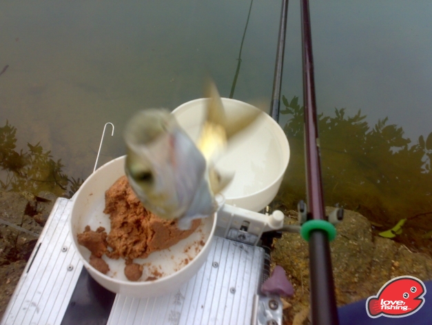 201310042482.jpg