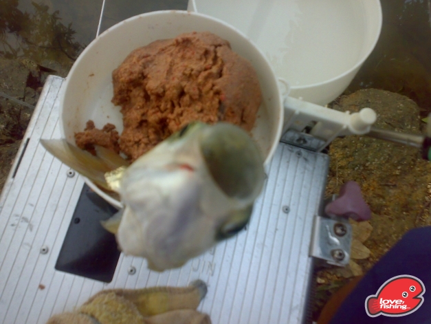 201310042483.jpg