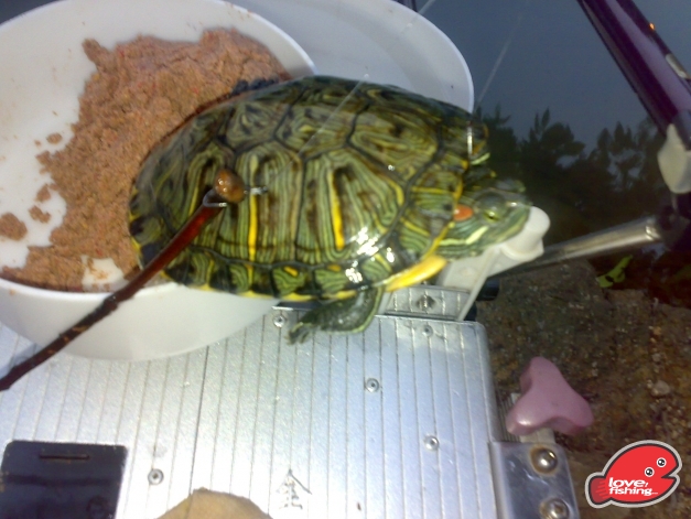 201310042484.jpg