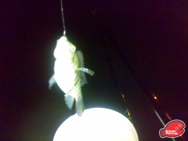 201310042485.jpg
