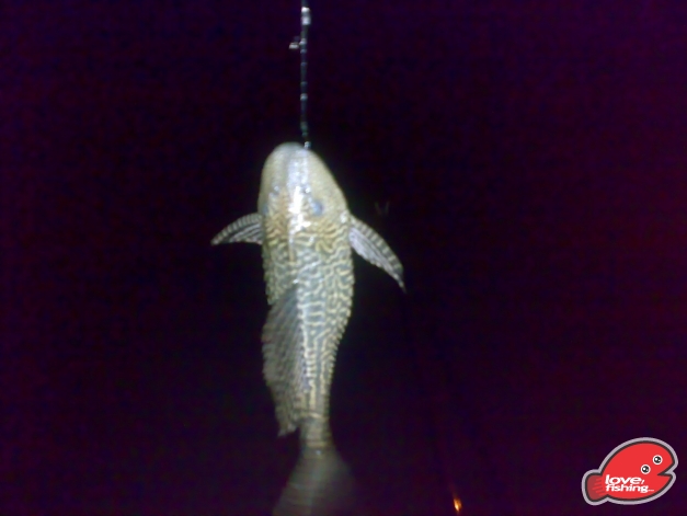 201310042486.jpg