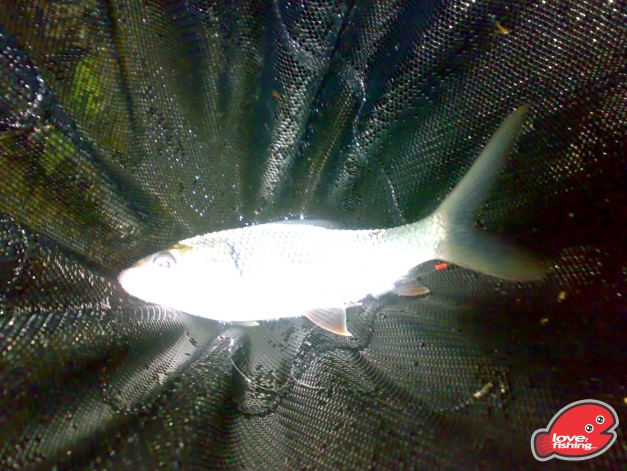 201310042487.jpg