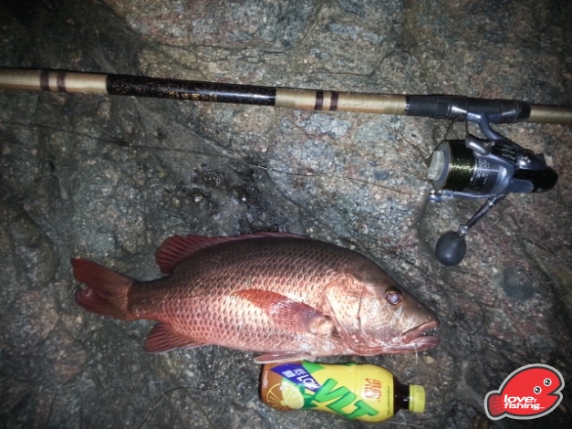 20131012_201452.jpg