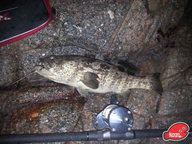20131012_210844.jpg