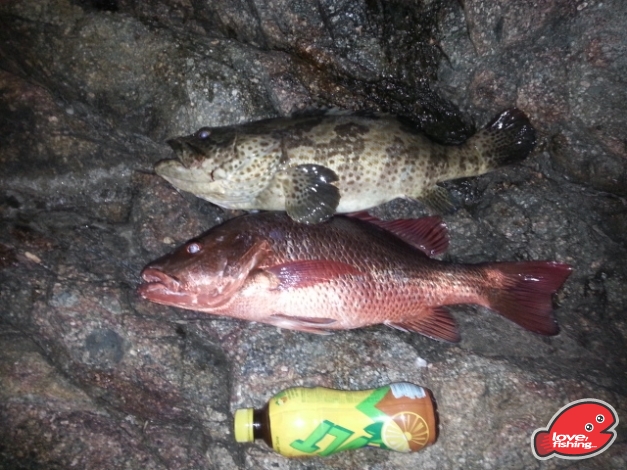 20131012_213701.jpg