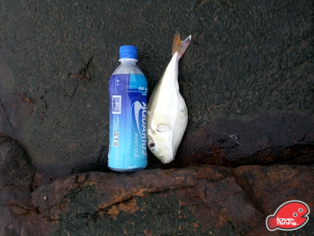 20131014_155759.jpg