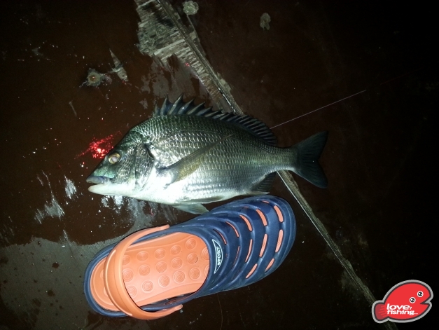20131026_185256.jpg