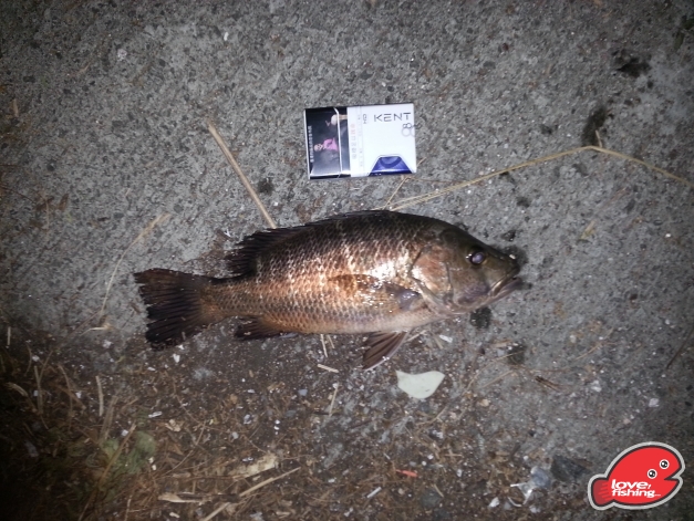 20131020_211353.jpg