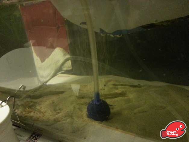 20131115_002706.jpg