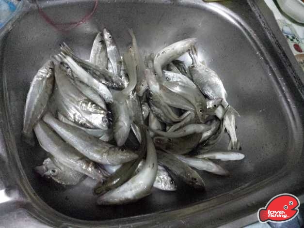 20131117_181332.jpg