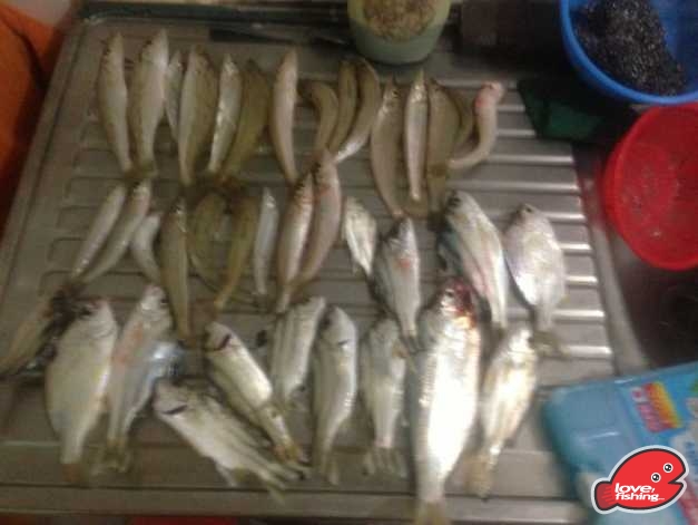 IMG-20131117-WA0019.jpg