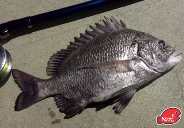 2013-11-07 19.14.21s.jpg