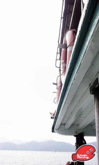 2013-11-23 13.54.53.jpg