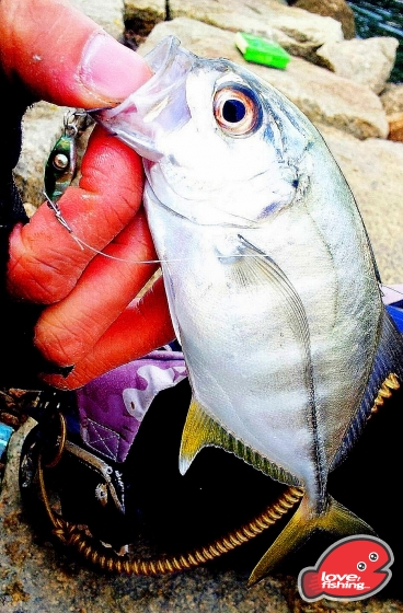 2014-01-05 14.52.06.jpg