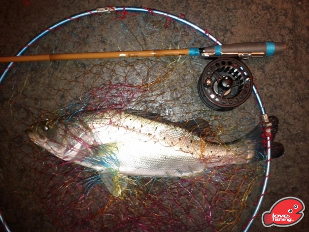 1斤10兩(1023g)17寸長