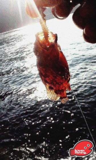 2014-02-23 16.44.32.jpg