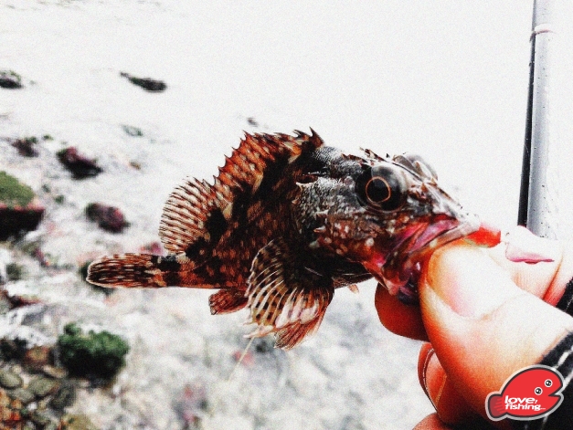 2014-03-02 15.05.31.jpg