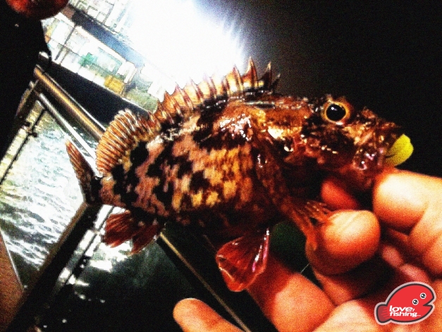 2014-03-04 23.48.23.jpg