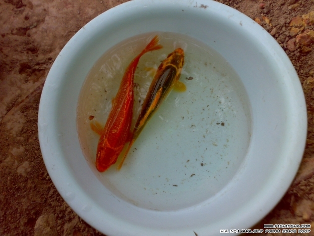 201403223219.jpg