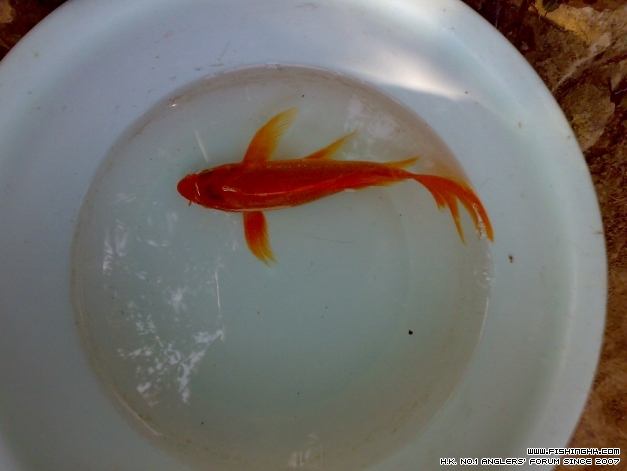201403233233.jpg