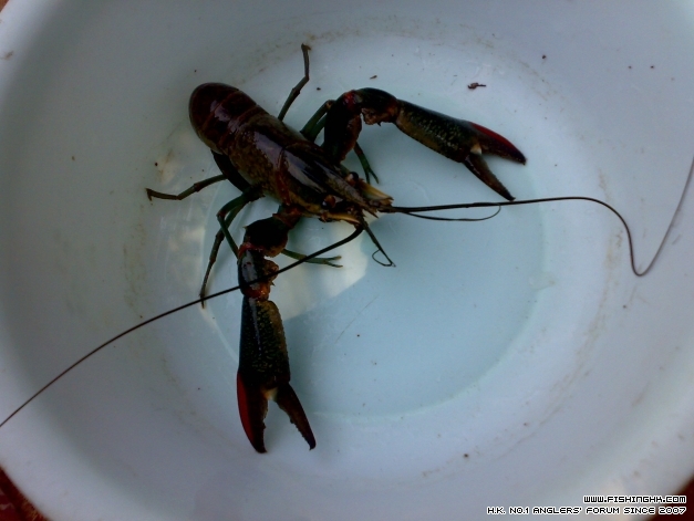 201403233234.jpg