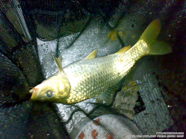 201403233241.jpg