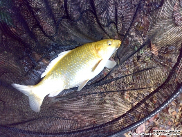 201403293278.jpg