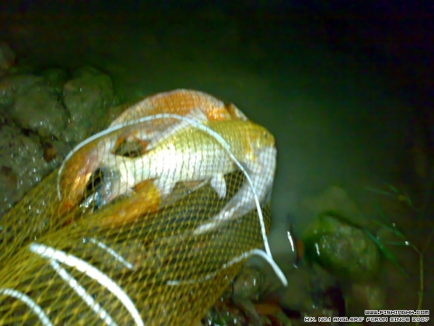 201403293303.jpg