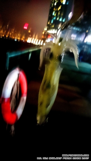 C360_2014-04-10-20-31-53-315.jpg