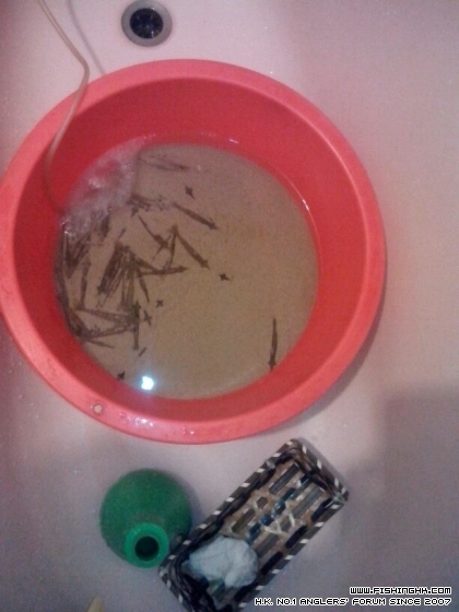 IMG-20140209-WA0017.jpg