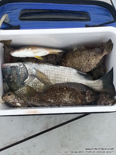 20140501_121507.jpg