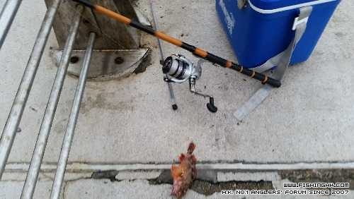 IMG-20140504-WA0000.jpg