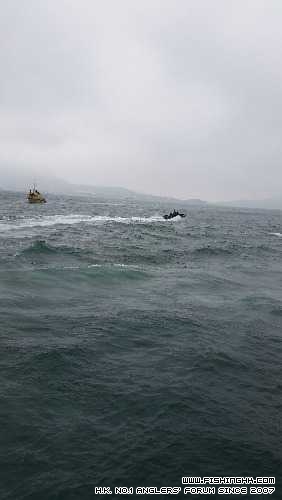 20140504_104710.jpg