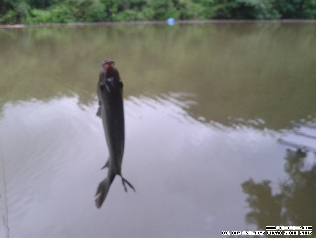 20140511_121422.jpg