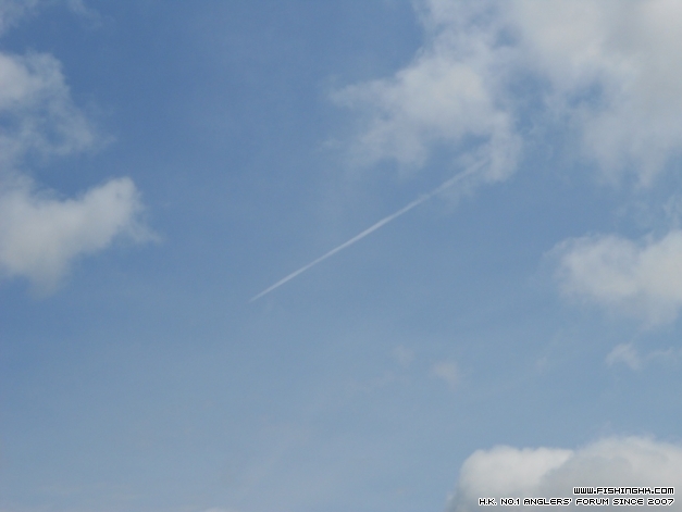 DSCN1010.JPG