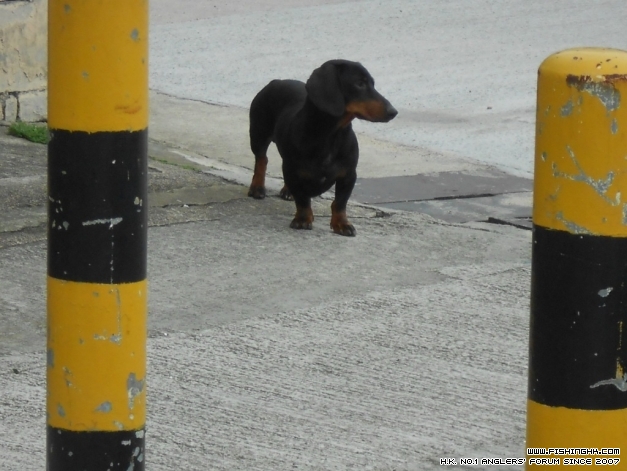DSCN1018.JPG
