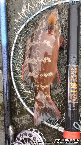 2014-05-07 15.16.41.jpg