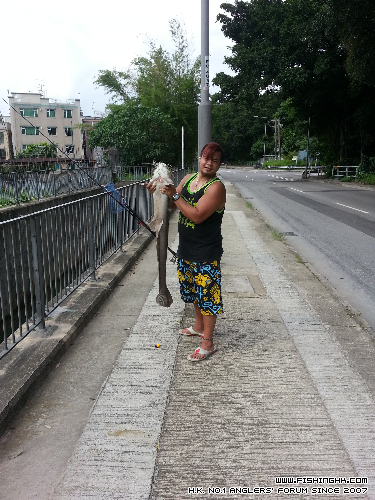 20140517_150200.jpg