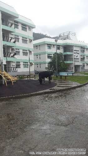 20140518_132027.jpg