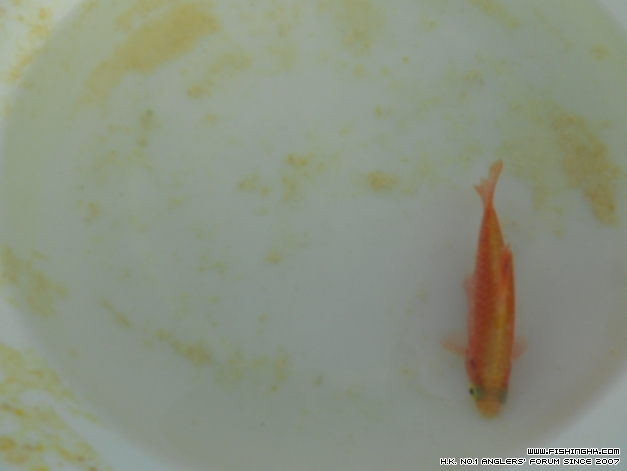 DSCN1124.JPG
