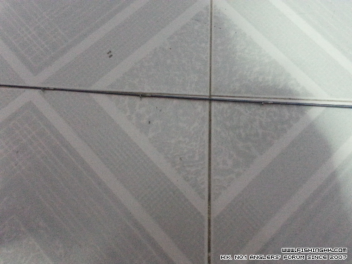 20140528_230021.jpg